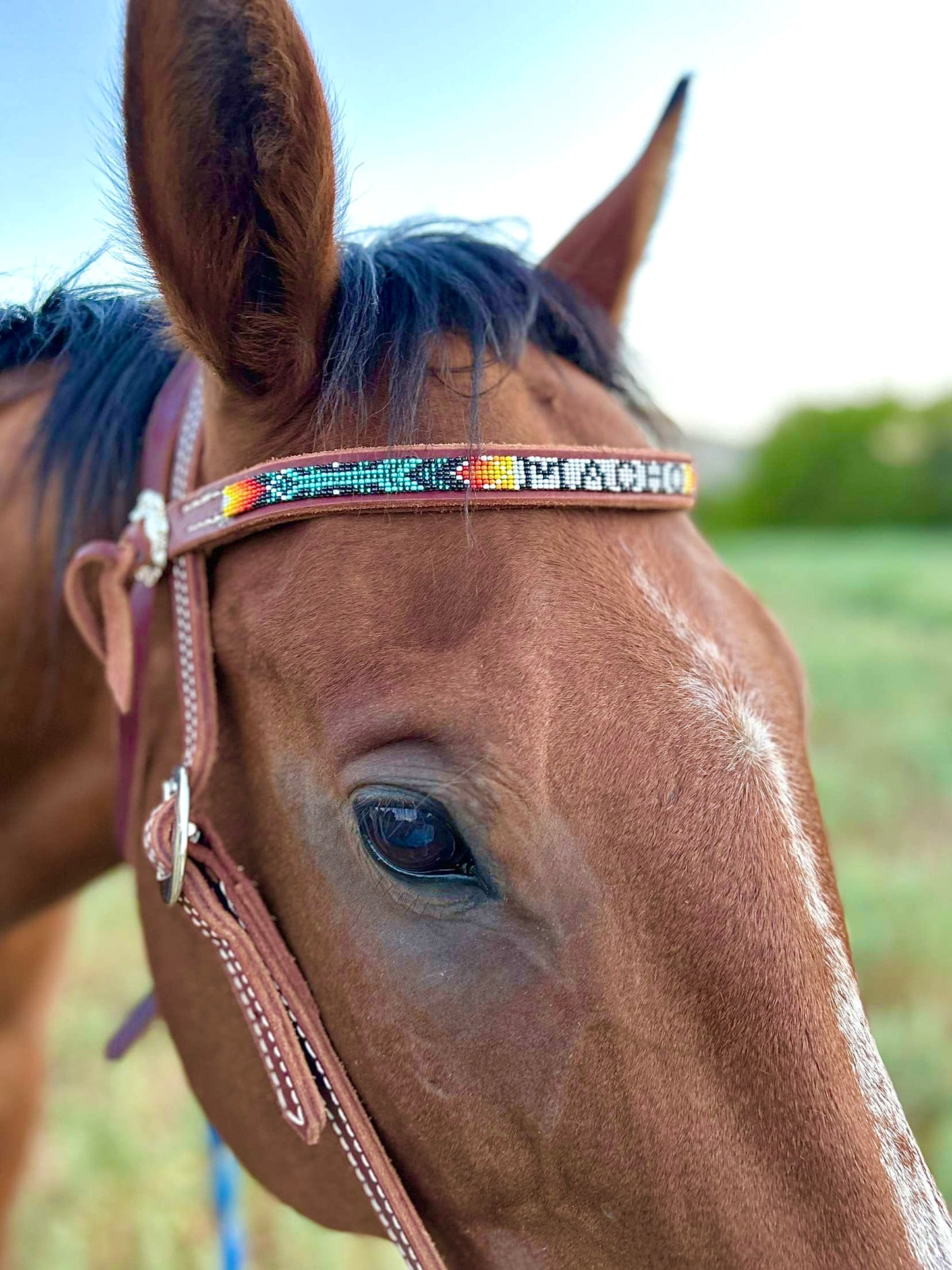 Custom Beaded Browband Headstall