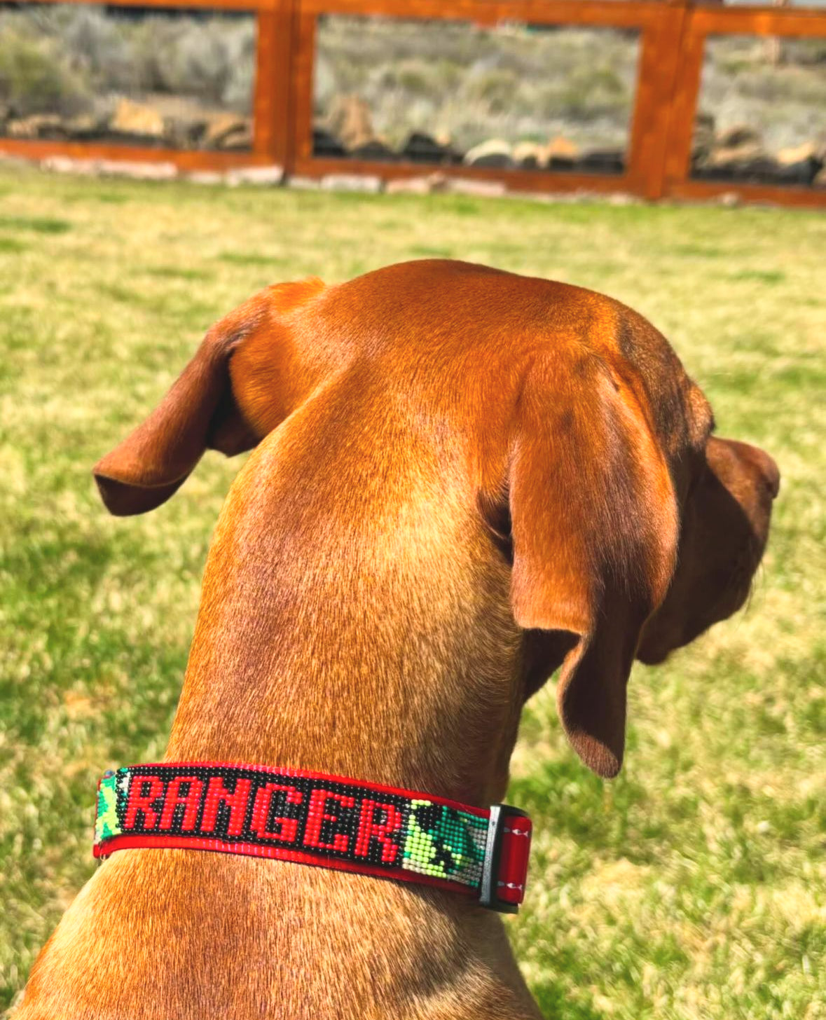 Custom Beaded Dog Collar